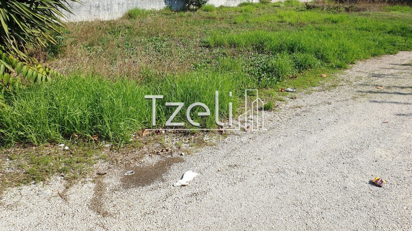 Land plot 1.500sqm for sale-Messatida » Demenika