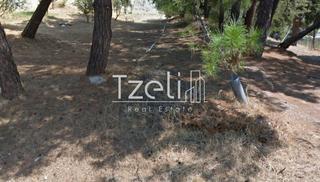 Οικόπεδο 415 τ.μ. για πώληση, Αχαΐα, Πάτρα-thumb-19