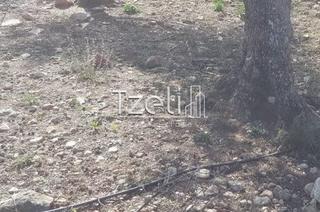 Οικόπεδο 543 τ.μ. για πώληση, Αχαΐα, Μεσσατίδα-thumb-9