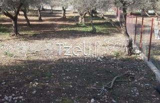 Οικόπεδο 543 τ.μ. για πώληση, Αχαΐα, Μεσσατίδα-thumb-12