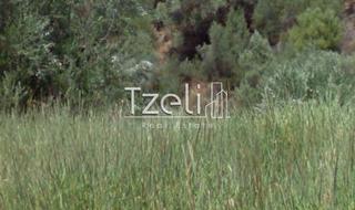 Οικόπεδο 325 τ.μ. για πώληση, Αχαΐα, Πάτρα-thumb-22