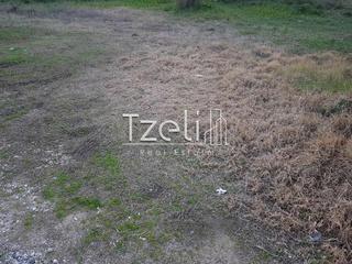 Οικόπεδο 401 τ.μ. για πώληση, Αχαΐα, Μεσσατίδα-thumb-8
