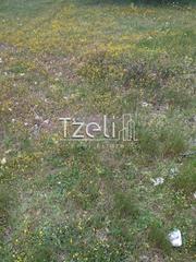 Οικόπεδο 401 τ.μ. για πώληση, Αχαΐα, Μεσσατίδα-thumb-15