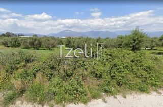 Οικόπεδο 1.000 τ.μ. για πώληση