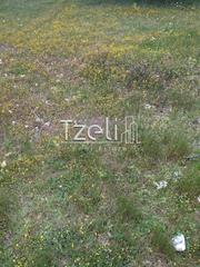 Οικόπεδο 1.000 τ.μ. για πώληση, Αχαΐα, Ρίο-thumb-11