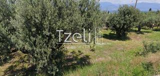 Οικόπεδο 1.000 τ.μ. για πώληση, Αχαΐα, Ρίο-thumb-17