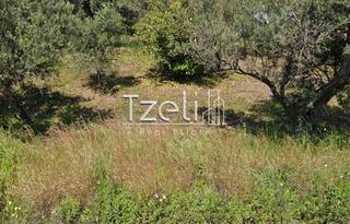Οικόπεδο 1.000 τ.μ. για πώληση, Αχαΐα, Ρίο-thumb-18