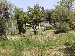 Αγροτεμάχια 2.000τ.μ. για πώληση-Δυτικής αχαΐας » Αλισσός