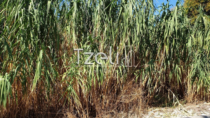 Land plot 500sqm for sale-Patra » Laggoura