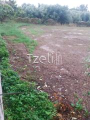 Οικόπεδο 280 τ.μ. για πώληση, Αχαΐα, Πάτρα-thumb-4