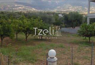 Οικόπεδο 280 τ.μ. για πώληση, Αχαΐα, Πάτρα-thumb-5