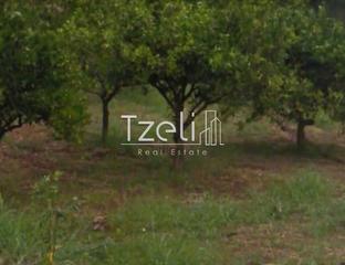 Οικόπεδο 280 τ.μ. για πώληση, Αχαΐα, Πάτρα-thumb-8