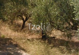 Οικόπεδο 181 τ.μ. για πώληση