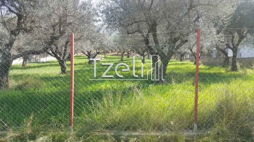 Land plot 1.000sqm for sale-Messatida » Kallitheokampos