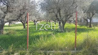 Οικόπεδο 1.000 τ.μ. για πώληση
