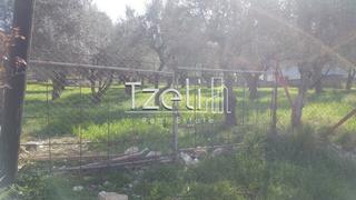 Οικόπεδο 1.000 τ.μ. για πώληση, Αχαΐα, Μεσσατίδα-thumb-3