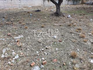 Οικόπεδο 4.200 τ.μ. για πώληση, Αχαΐα, Μεσσατίδα-thumb-11
