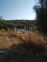 Αγροτεμάχια 4.000 τ.μ. για πώληση, Αχαΐα, Μεσσατίδα-thumb-12