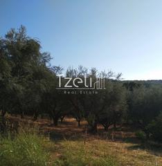 Αγροτεμάχια 4.000 τ.μ. για πώληση, Αχαΐα, Μεσσατίδα-thumb-16