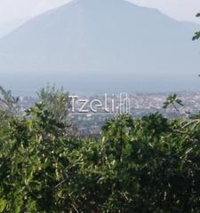 Αγροτεμάχια 4.000 τ.μ. για πώληση, Αχαΐα, Μεσσατίδα-thumb-22