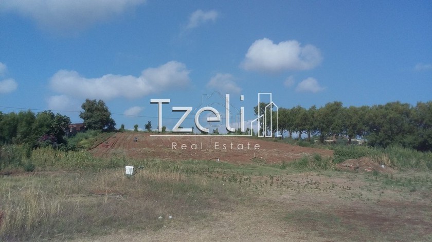 Land plot 6.000sqm for sale-Larissos » Lakkopetra