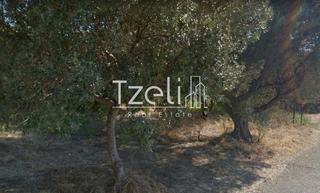 Οικόπεδο 1.100 τ.μ. για πώληση, Αχαΐα, Ρίο-thumb-13