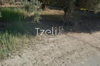 Οικόπεδο 1.100 τ.μ. για πώληση, Αχαΐα, Ρίο-thumb-16