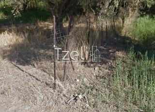 Οικόπεδο 1.100 τ.μ. για πώληση, Αχαΐα, Ρίο-thumb-19