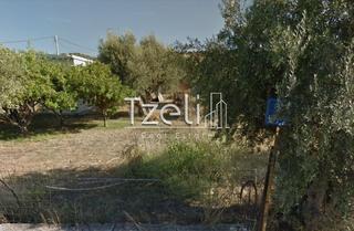 Οικόπεδο 1.100 τ.μ. για πώληση, Αχαΐα, Ρίο-thumb-22