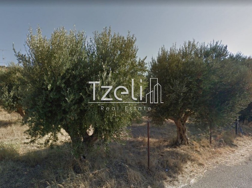 Land plot 1.100sqm for sale-Rio » Arachovitika
