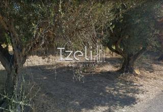 Οικόπεδο 1.100 τ.μ. για πώληση, Αχαΐα, Ρίο-thumb-5