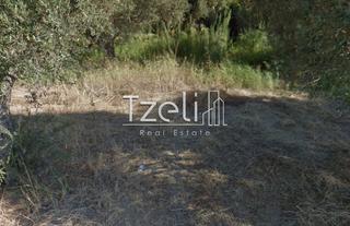Οικόπεδο 1.100 τ.μ. για πώληση, Αχαΐα, Ρίο-thumb-6