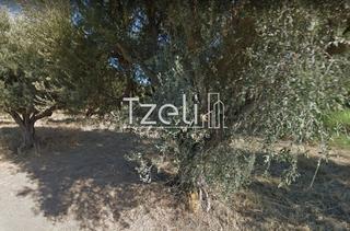 Οικόπεδο 1.100 τ.μ. για πώληση, Αχαΐα, Ρίο-thumb-9