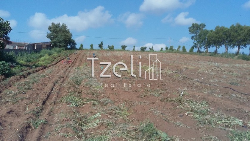 Land plot 4.000sqm for sale-Larissos » Lakkopetra