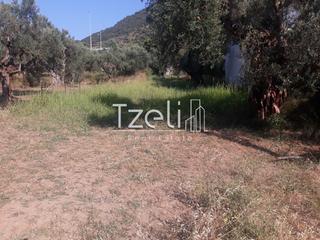Οικόπεδο 800 τ.μ. για πώληση, Αχαΐα, Ρίο-thumb-15