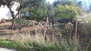 Οικόπεδο 150 τ.μ. για πώληση, Αχαΐα, Μεσσατίδα-thumb-1
