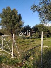Οικόπεδο 150 τ.μ. για πώληση, Αχαΐα, Μεσσατίδα-thumb-4