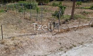 Οικόπεδο 930 τ.μ. για πώληση, Αχαΐα, Βραχναίικα-thumb-10