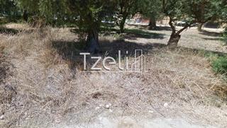 Οικόπεδο 930 τ.μ. για πώληση, Αχαΐα, Βραχναίικα-thumb-22