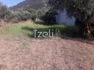 Οικόπεδο 900 τ.μ. για πώληση, Αχαΐα, Ρίο-thumb-23