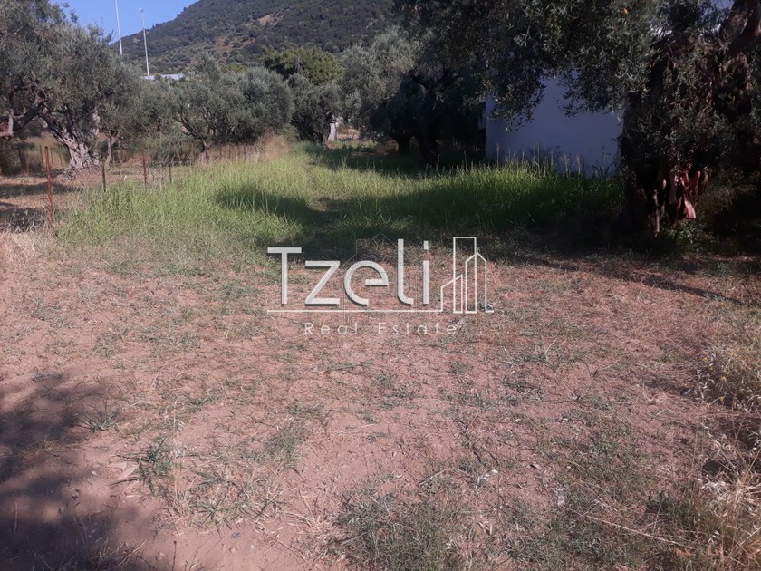 Οικόπεδο 900τ.μ. για πώληση-Ρίο » Άγιος βασίλειος