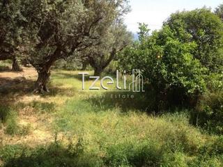 Οικόπεδο 330 τ.μ. για πώληση, Αχαΐα, Μεσσατίδα-thumb-4