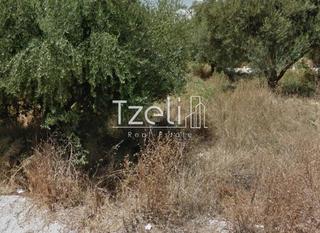 Οικόπεδο 600 τ.μ. για πώληση, Αχαΐα, Μεσσατίδα-thumb-19