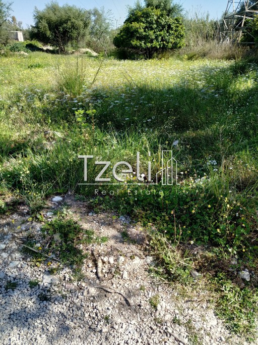 Parcel 6.000sqm for sale-Olenia » Palaia Peristera