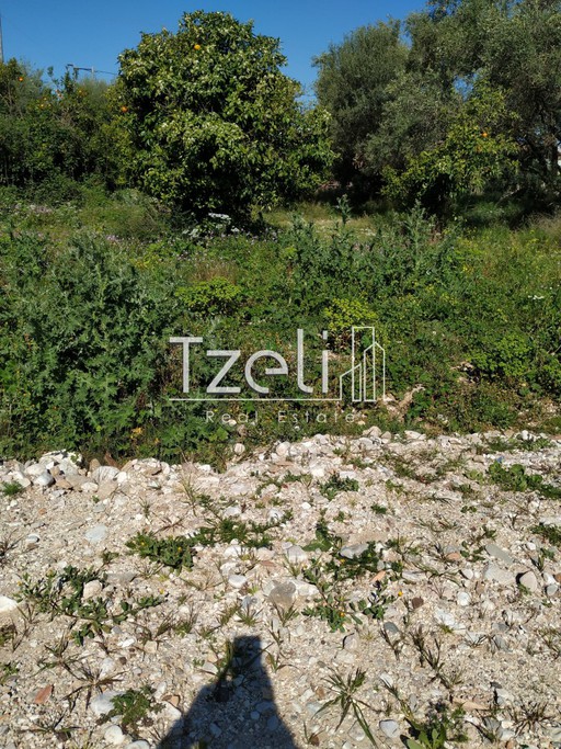Parcel 19.542sqm for sale-Olenia » Palaia Peristera