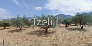 Οικόπεδο 470 τ.μ. για πώληση, Αχαΐα, Μεσσατίδα-thumb-6
