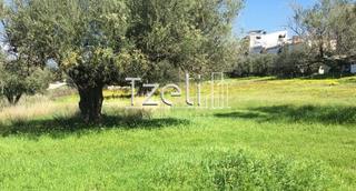 Οικόπεδο 470 τ.μ. για πώληση, Αχαΐα, Μεσσατίδα-thumb-9
