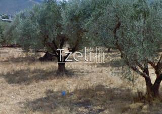 Οικόπεδο 470 τ.μ. για πώληση, Αχαΐα, Μεσσατίδα-thumb-10