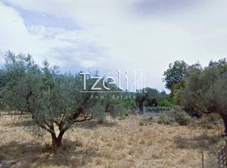 Οικόπεδο 470 τ.μ. για πώληση, Αχαΐα, Μεσσατίδα-thumb-15