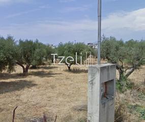 Οικόπεδο 470 τ.μ. για πώληση, Αχαΐα, Μεσσατίδα-thumb-20